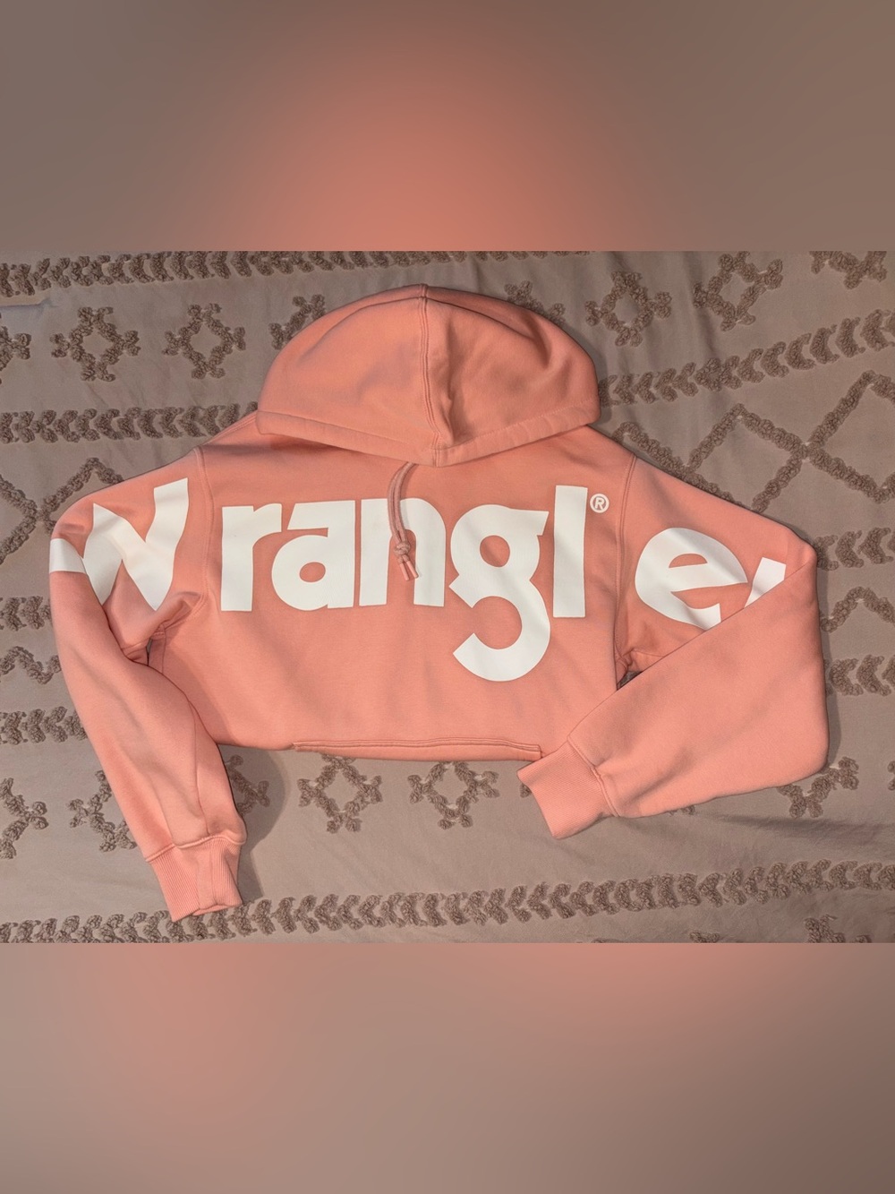 Wrangler Cropped Hoodie in Peach